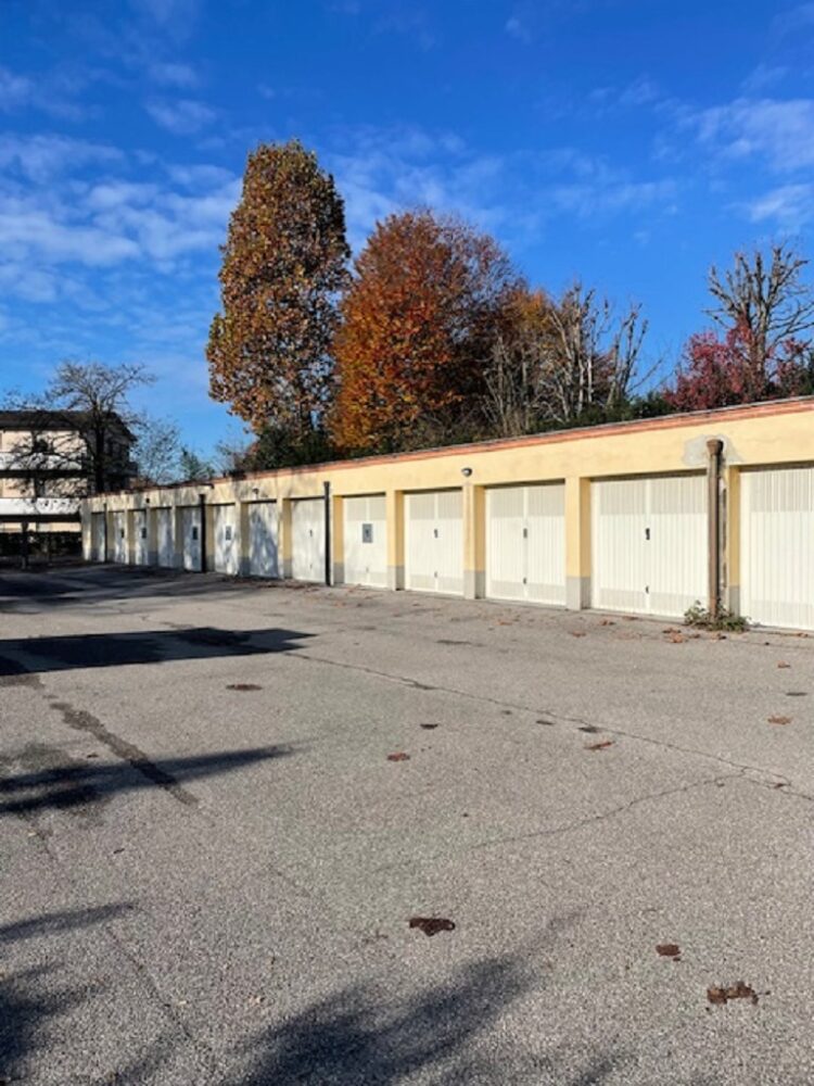 IMG_4985 1764169999 gallery 750x1000