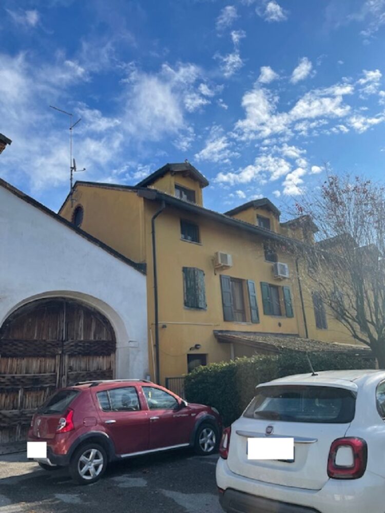 IMG_4986 1764169999 gallery 750x1000