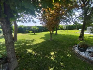 826d2a22 4d53 4990 8283 02d4b1c6fb4a 1765382924 gallery 356x267