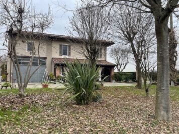 IMG_5280 1765382813 gallery 356x267