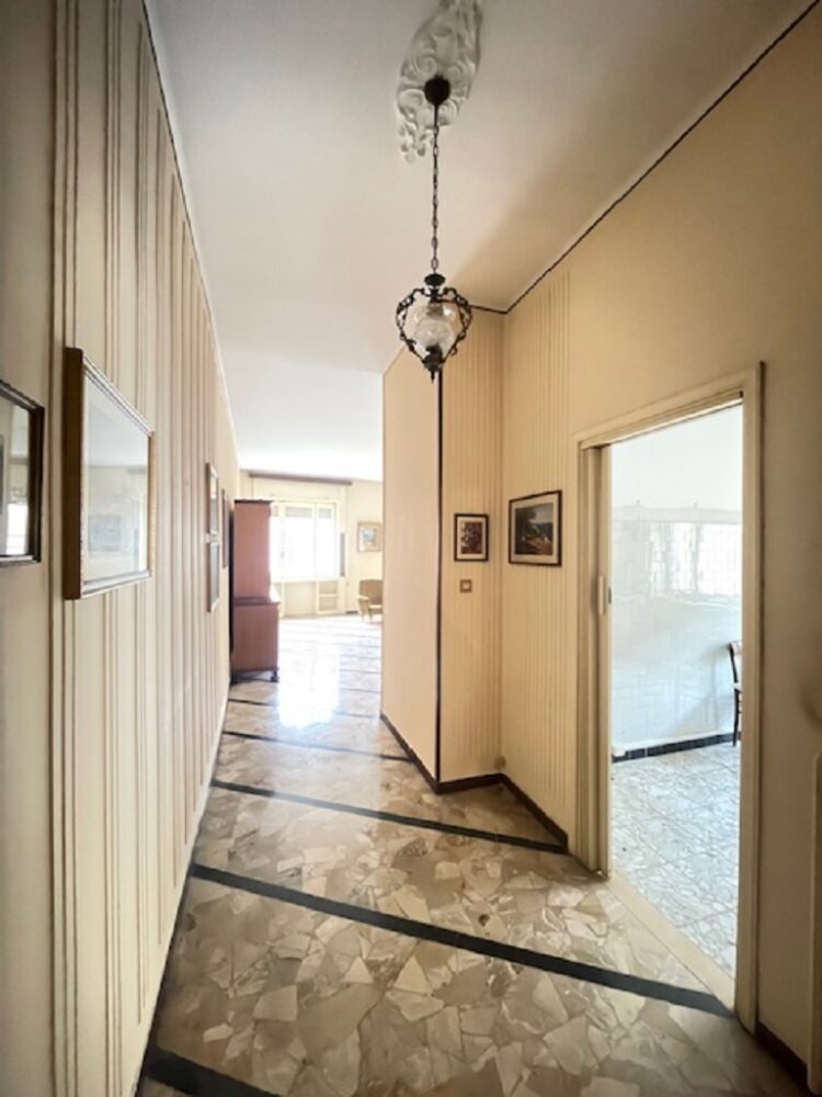 IMG_5412 1766158628 gallery 750x1000