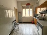 IMG_5413 1766158628 gallery 180x135