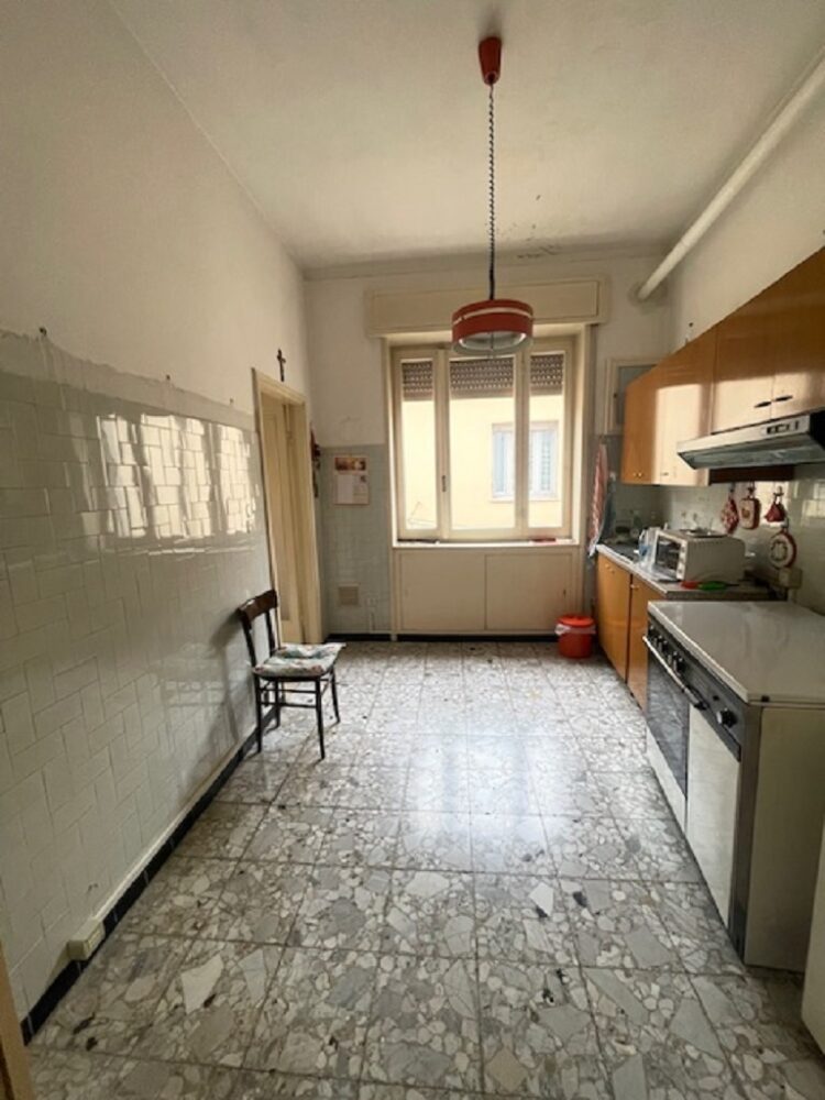 IMG_5413 1766158628 gallery 750x1000