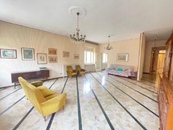 IMG_5415 1766158587 gallery 356x267