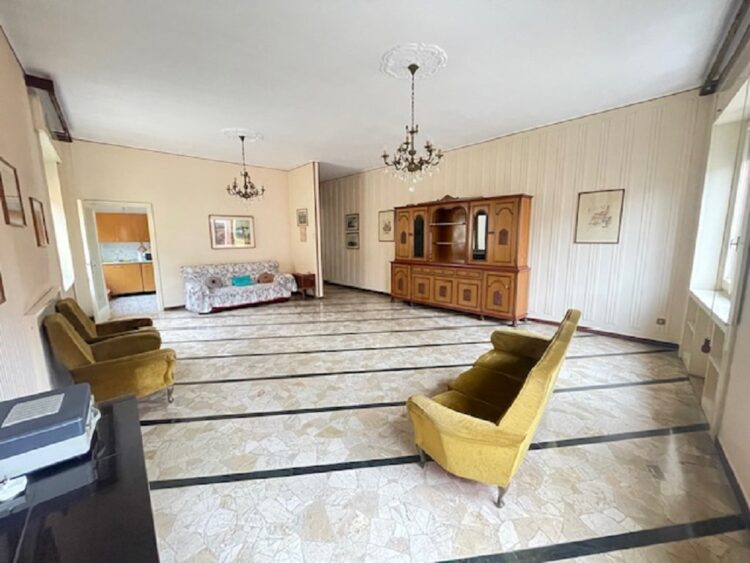 IMG_5416 1766158601 gallery 750x563