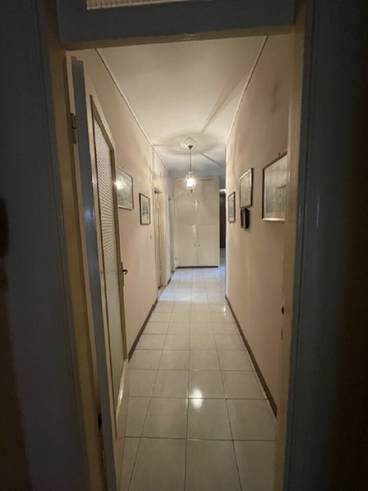 IMG_5418 1766158645 gallery 750x1000