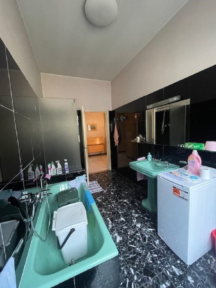 IMG_5425 1766158645 gallery 750x1000