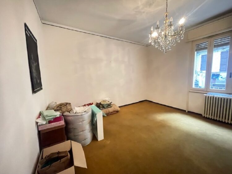 IMG_5431 1766158674 gallery 750x563