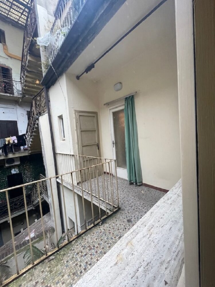 IMG_5433 1766158674 gallery 750x1000