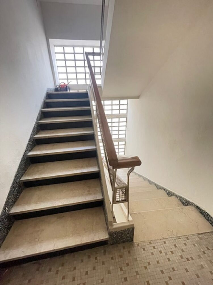 IMG_5434 1766158689 gallery 750x1000