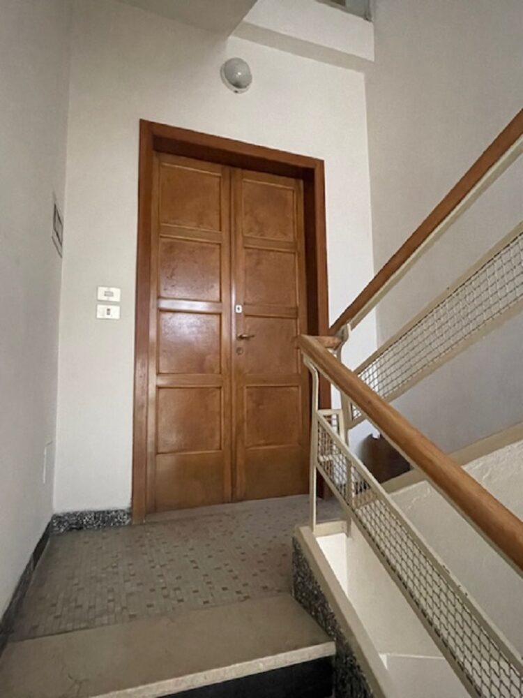 IMG_5435 1766158689 gallery 750x1000