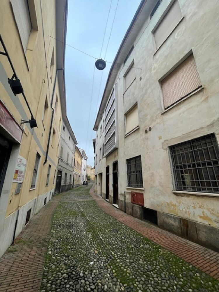 IMG_5437 1766158689 gallery 750x1000