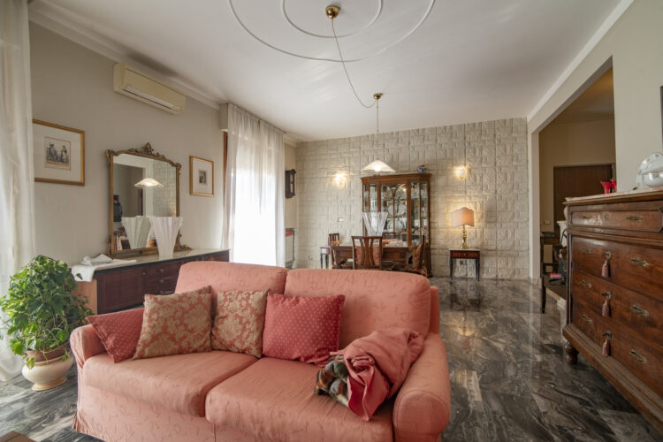 _SPO7687 1765275126 gallery 750x500