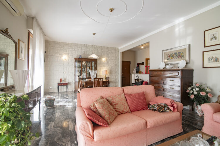 _SPO7691 1765275126 gallery 750x500