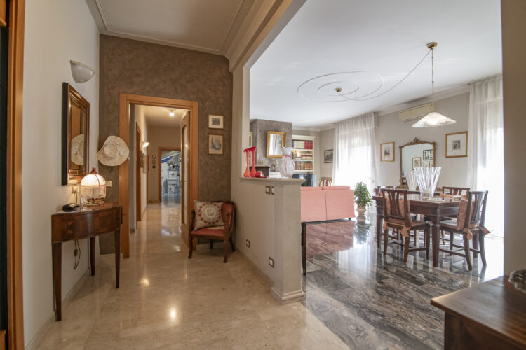 _SPO7707 1765275126 gallery 750x500