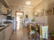 _SPO7739 1765275313 gallery 180x135