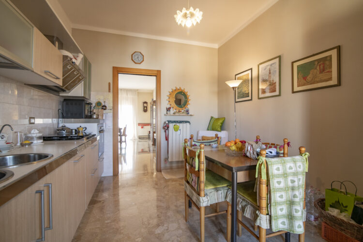 _SPO7739 1765275313 gallery 750x500