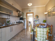 _SPO7747 1765275313 gallery 180x135