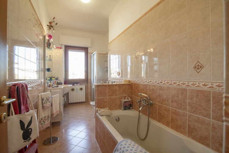 _SPO7828 1765275453 gallery 750x500