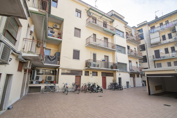 _SPO7943 1765275557 gallery 750x500