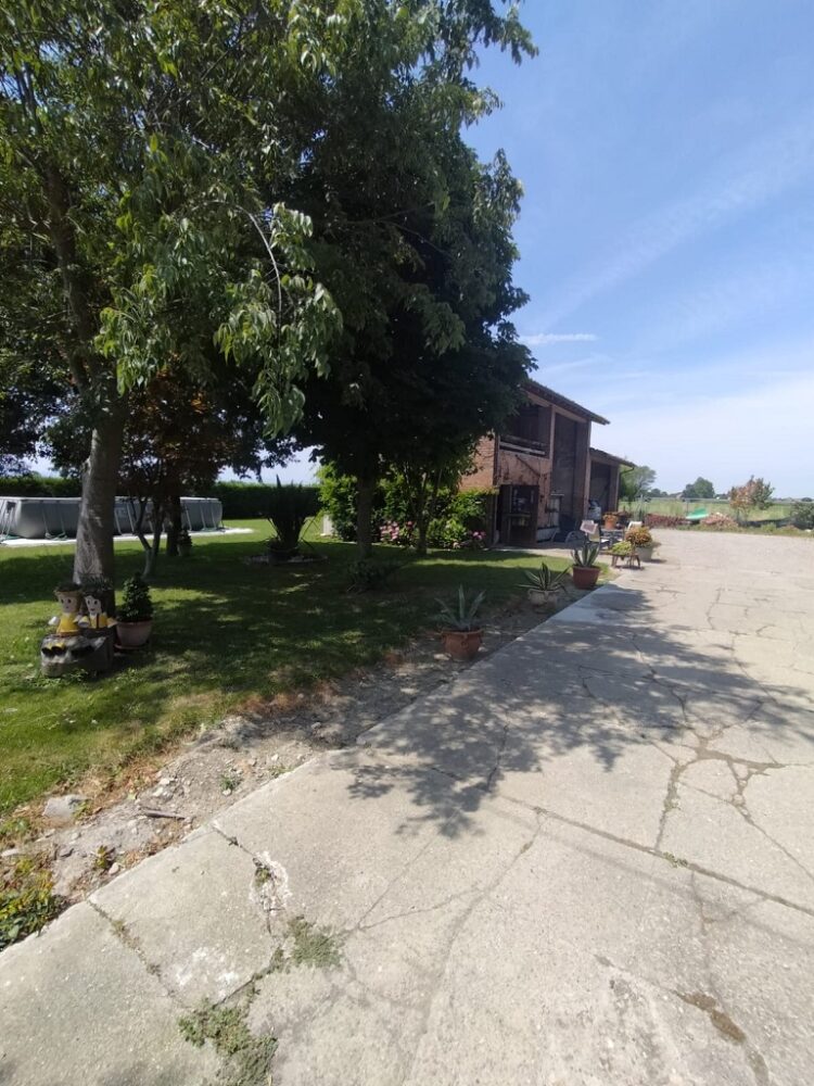 d60bb660 3b0d 4db5 9ea6 dafb32fa149d 1765903399 gallery 750x1000