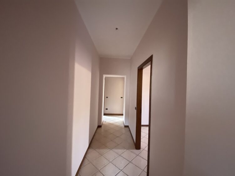 IMG_4323 1767949112 gallery 750x563