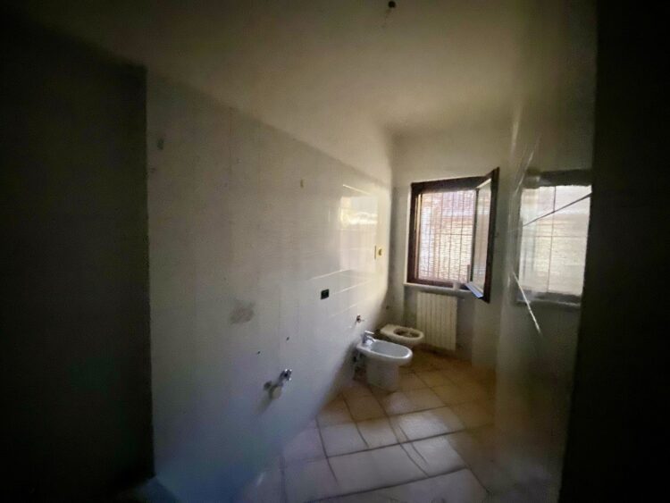 IMG_4327 1767949112 gallery 750x563