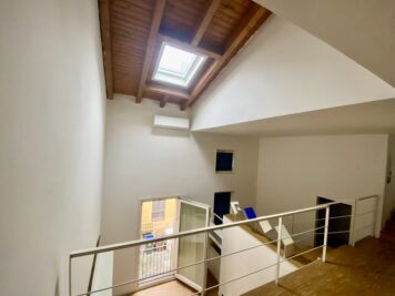 IMG_4481 1769586974 gallery 356x267