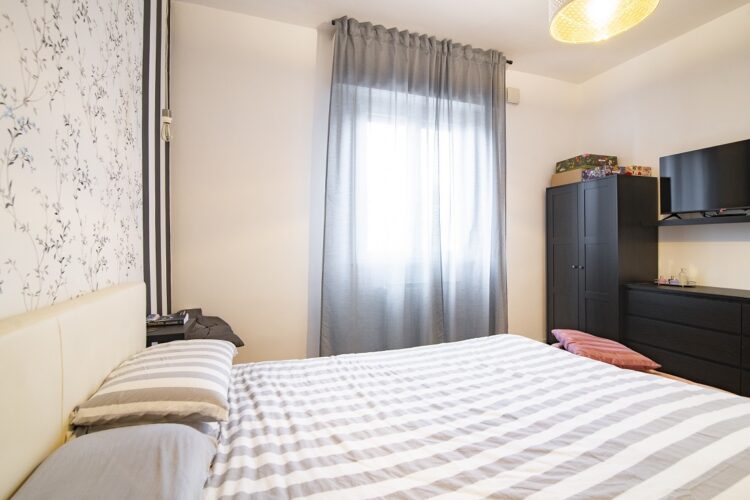 _ARI0558 1769016221 gallery 750x500