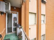 _ARI0578 1769016221 gallery 180x135