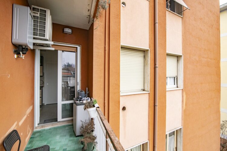 _ARI0578 1769016221 gallery 750x500