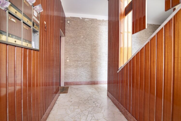 _ARI0594 1769016237 gallery 750x500