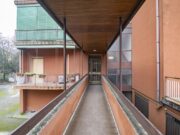 _ARI0598 1769016237 gallery 180x135