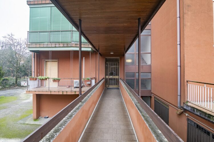 _ARI0598 1769016237 gallery 750x500