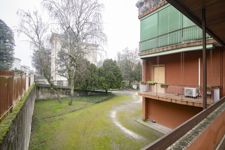 _ARI0602 1769016237 gallery 750x500