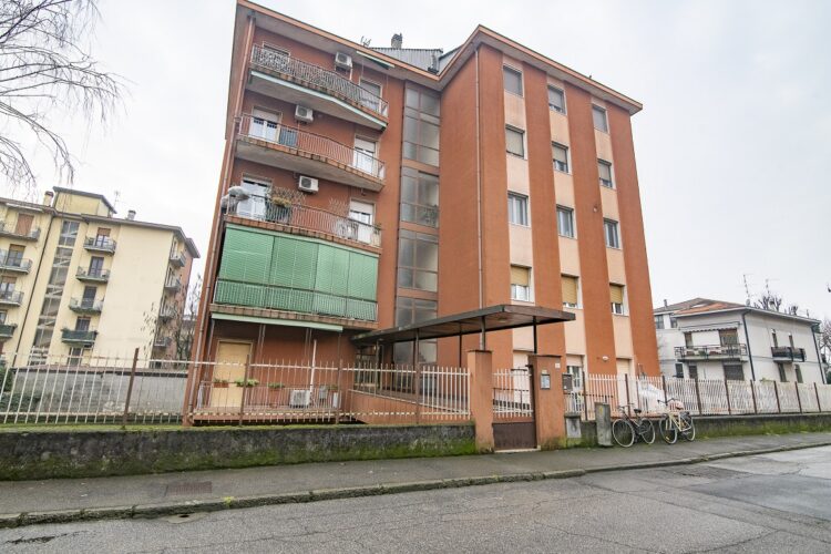 _ARI0610 1769016237 gallery 750x500