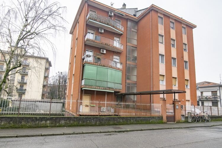 _ARI0614 1769016237 gallery 750x500