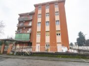 _ARI0638 1769016237 gallery 180x135