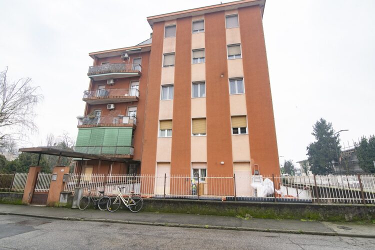 _ARI0638 1769016237 gallery 750x500