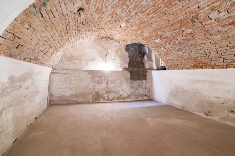 _ARI1267 1767775789 gallery 750x500