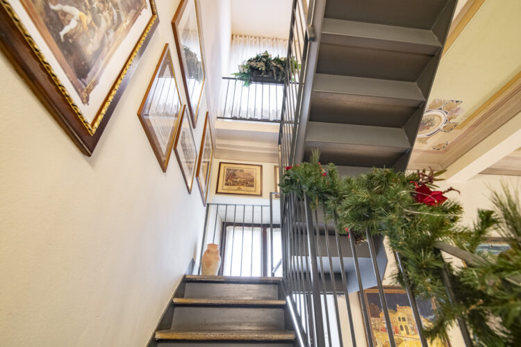 _ARI1386 1768465564 gallery 750x500