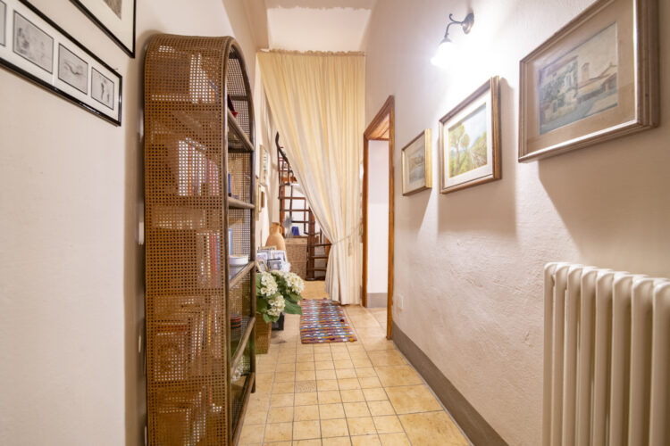 _ARI1427 1768465639 gallery 750x500