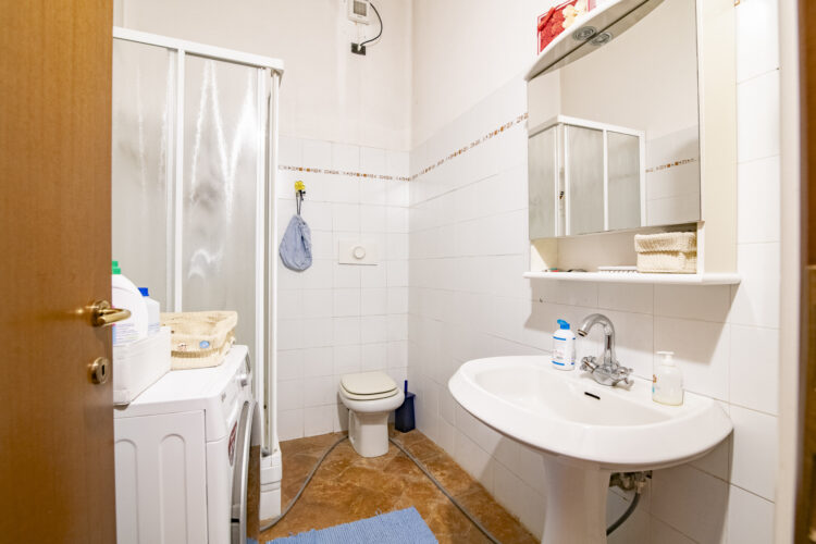 _ARI1437 1768465639 gallery 750x500