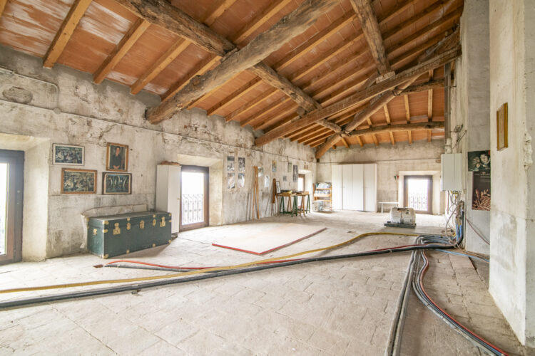 _ARI1438 1768465772 gallery 750x500