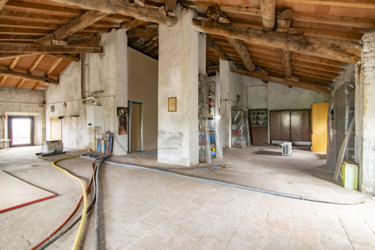 _ARI1443 1768465772 gallery 750x500