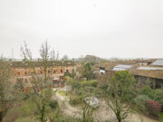 _ARI1454 1768465800 gallery 180x135