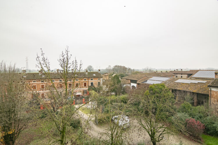 _ARI1454 1768465800 gallery 750x500