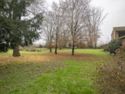 _ARI1459 1768465800 gallery 180x135