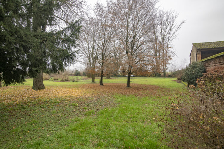 _ARI1459 1768465800 gallery 750x500