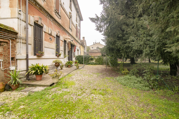 _ARI1463 1768465800 gallery 750x500